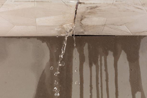 Professional Burst Pipe Cleanup technician working in Paris, MS